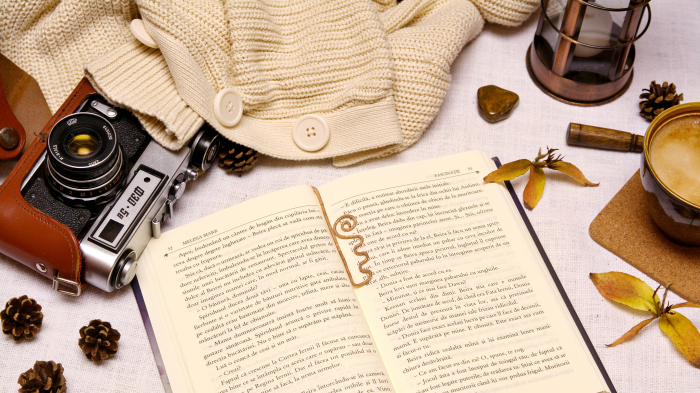 Semn de carte Belmonte [3]