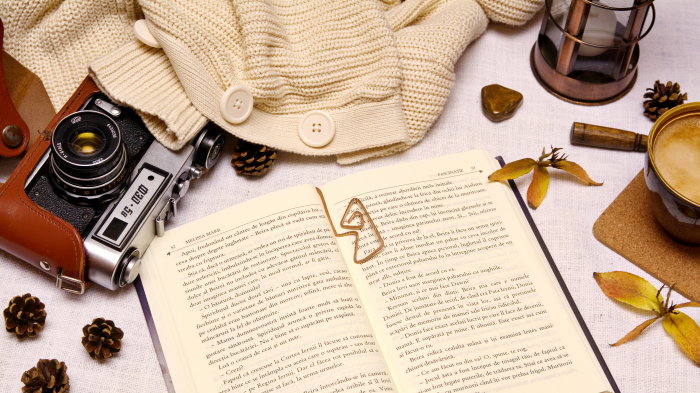 Semn de carte Aguiar [3]