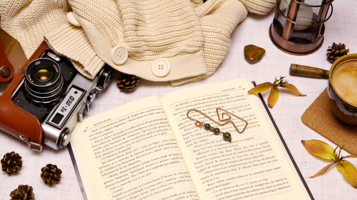 Semn de carte Aguiar [4]