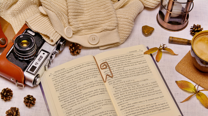 Semn de carte Brito [2]