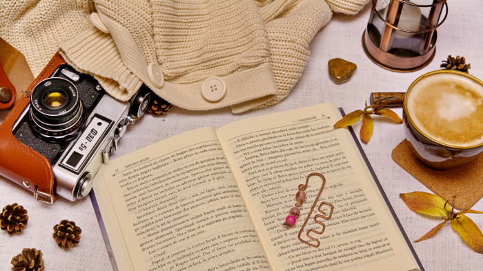 Semn de carte Camacha [4]