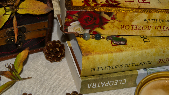 Semn de carte Famoes [3]