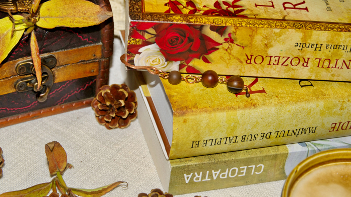 Semn de carte Forte da Casa [3]