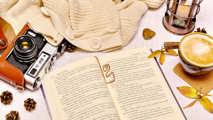 Semn de carte Gaeiras [2]