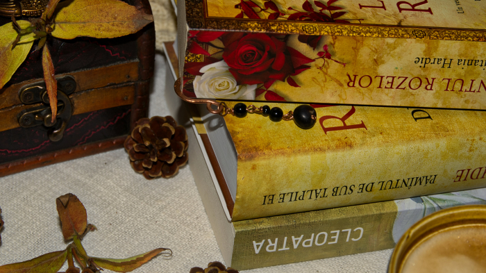 Semn de carte Parchal [3]