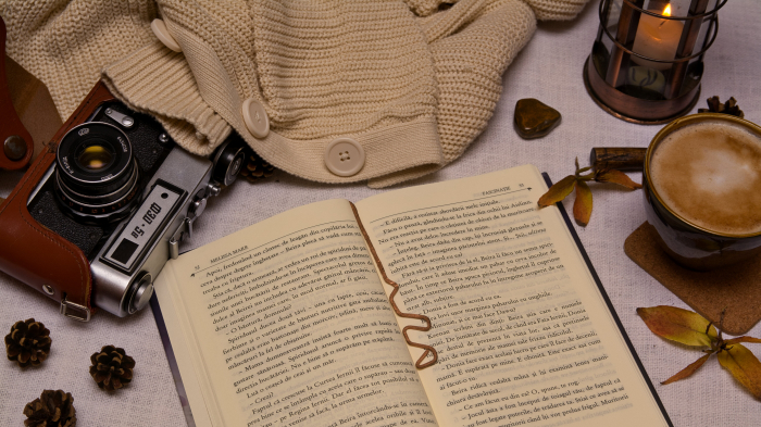 Semn de carte Ponte [2]