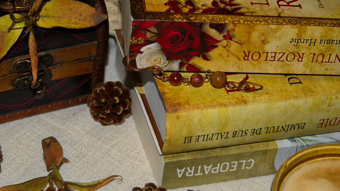 semn de carte Sobral [2]