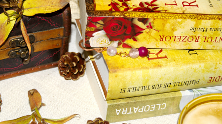 Semn de carte Alentejo [1]