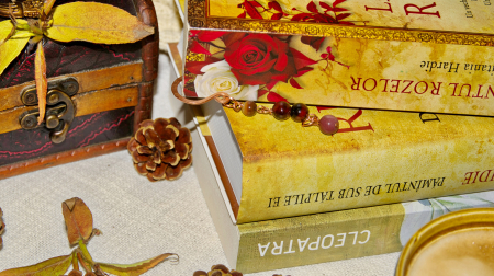 Semn de carte Brito [2]