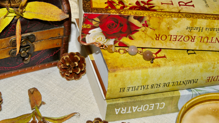 Semn de carte Cambres [2]