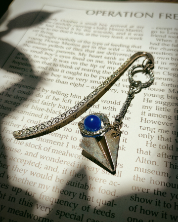 SEMNE DE CARTE - semn de carte Altamira