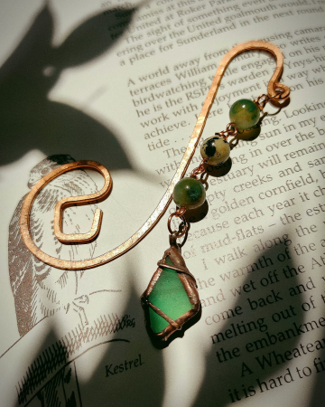 SEMNE DE CARTE - Semn de carte Ferreiros