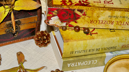 Semn de carte Forte da Casa [2]