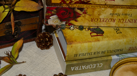 Semn de carte Ferreiros [2]