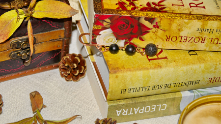 Semn de carte Gaeiras [2]