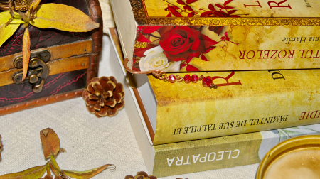 Semn de carte Iraquara [2]