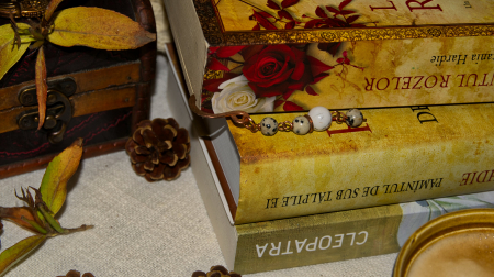 semn de carte Ovelha [1]