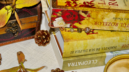 Semn de carte Ribatejo [2]