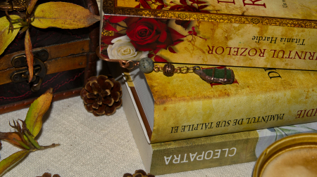 Semn de carte Ponte [2]