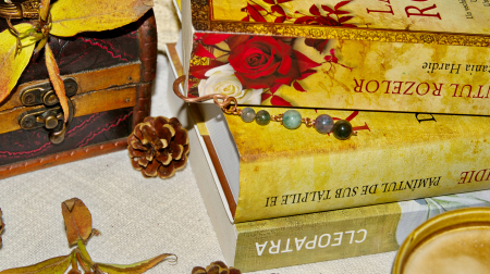 Semn de carte Serra [2]