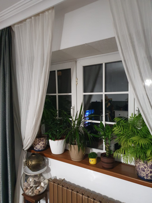 Brau decorativ din polimer rigid B7 - 2x1x200 cm [3]