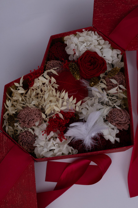 Heart for Lucy [2]