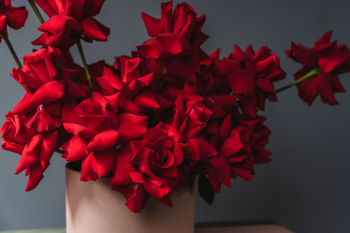 Red for Love [3]