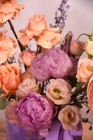 Purple for Josephina [2]
