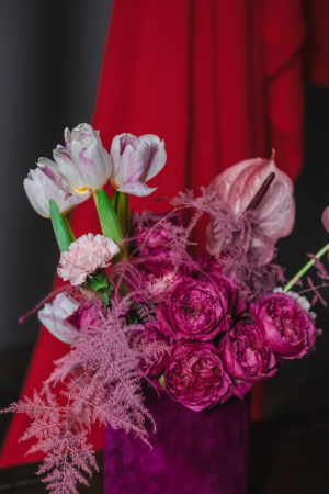Fuchsia for Dora [1]