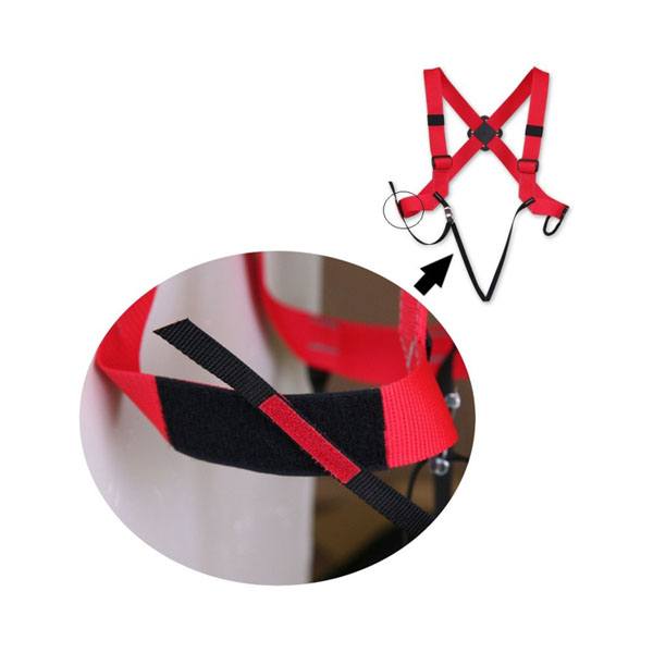 Ham Alp Design Bunny [2]