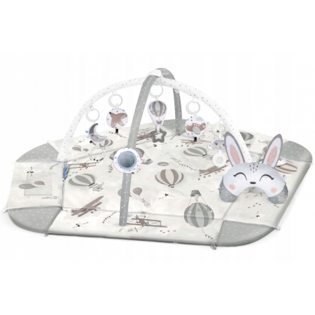 Saltelute de activitati - 