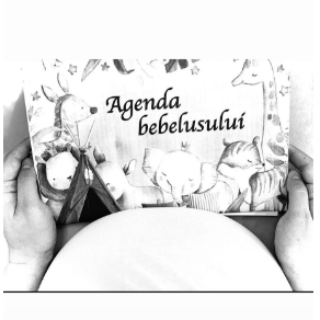 Agenda Bebelusului (Jurnalul Bebelusului) [16]