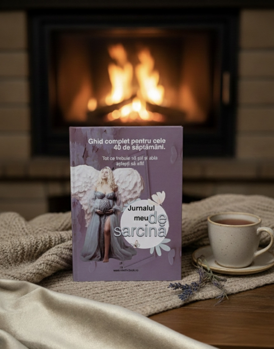 jurnal de sarcina [10]