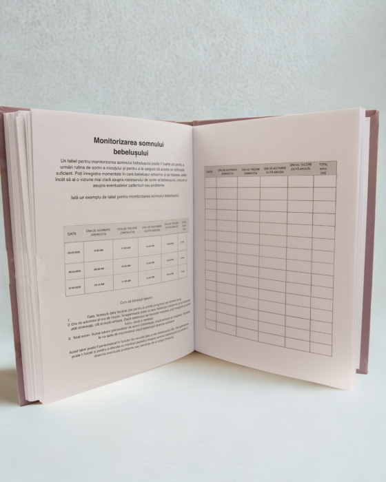 jurnal de sarcina [14]