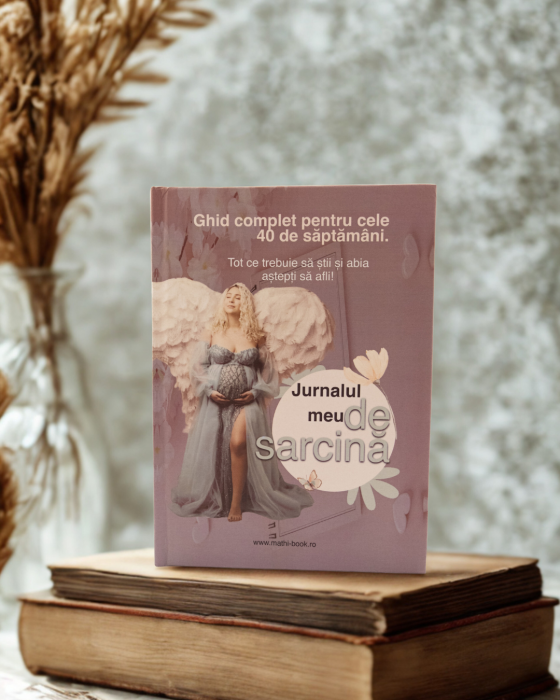 jurnal de sarcina [3]