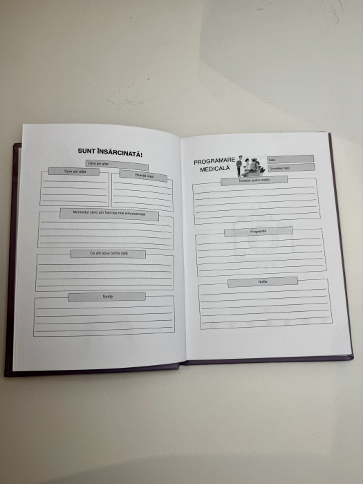 jurnal de sarcina [4]