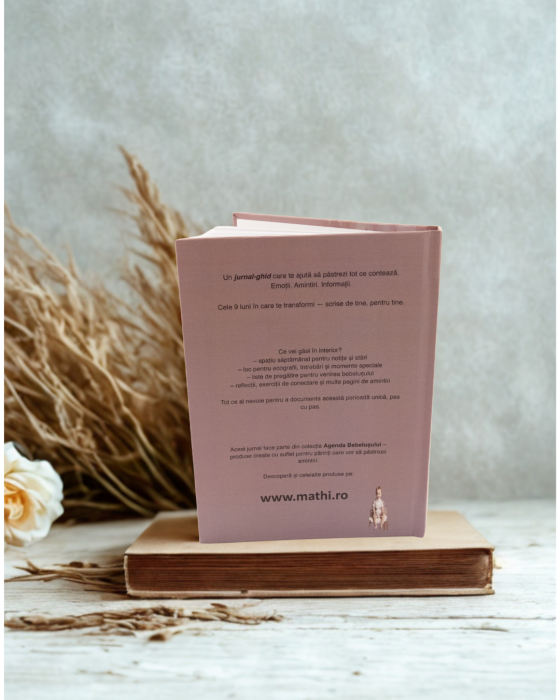 jurnal de sarcina [4]