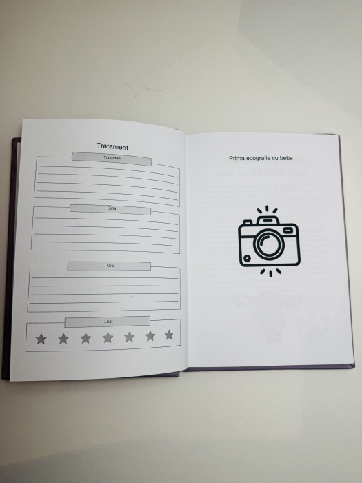 jurnal de sarcina [5]