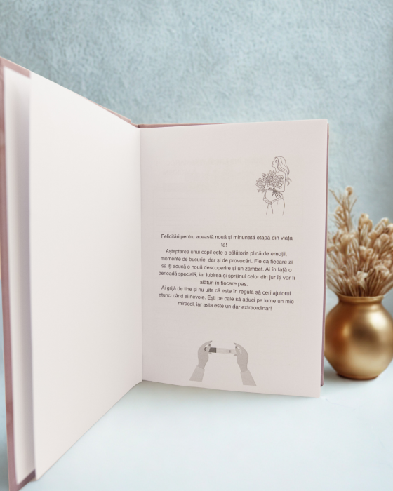 jurnal de sarcina [10]