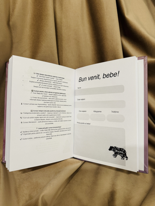 jurnal de sarcina [7]