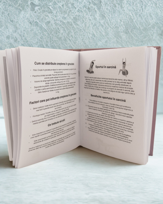 jurnal de sarcina [15]