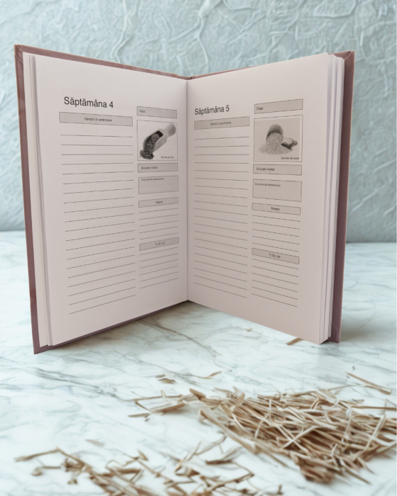 jurnal de sarcina [2]