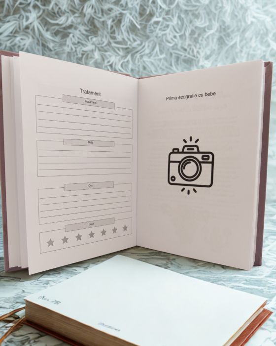 jurnal de sarcina [5]