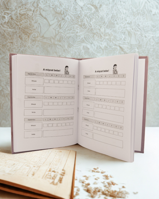 Set Jurnal de sarcină + Agenda bebelușului [7]