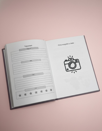 jurnal de sarcina [8]