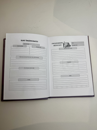 jurnal de sarcina [3]