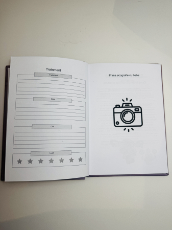 jurnal de sarcina [4]