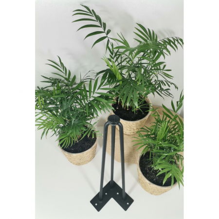 Picior de masa Arto cu 3 tije Ø12 mm, finisaj negru mat, H:406 mm, set 4 bucati [3]