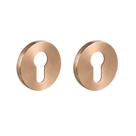 Mânere ușă cu cilindru - Brooklyn Viefe - Set 2 rozete rotunde pentru ușă cu cilindru, alamă cava periată, D:55 mm