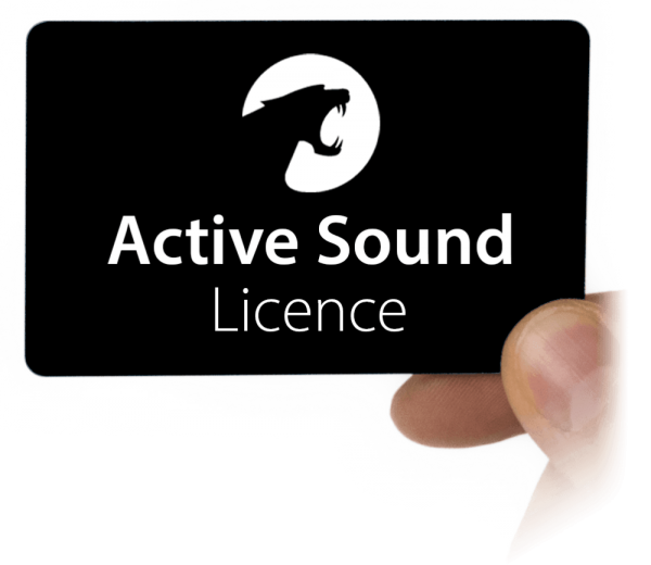 Evacuare electronica Maxhaust Active Sound Booster cu doua generatoare sunet– Set complet universal [6]